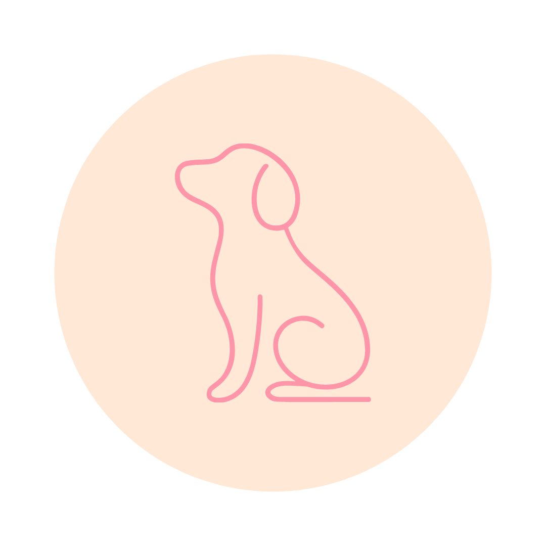 PET SITTING