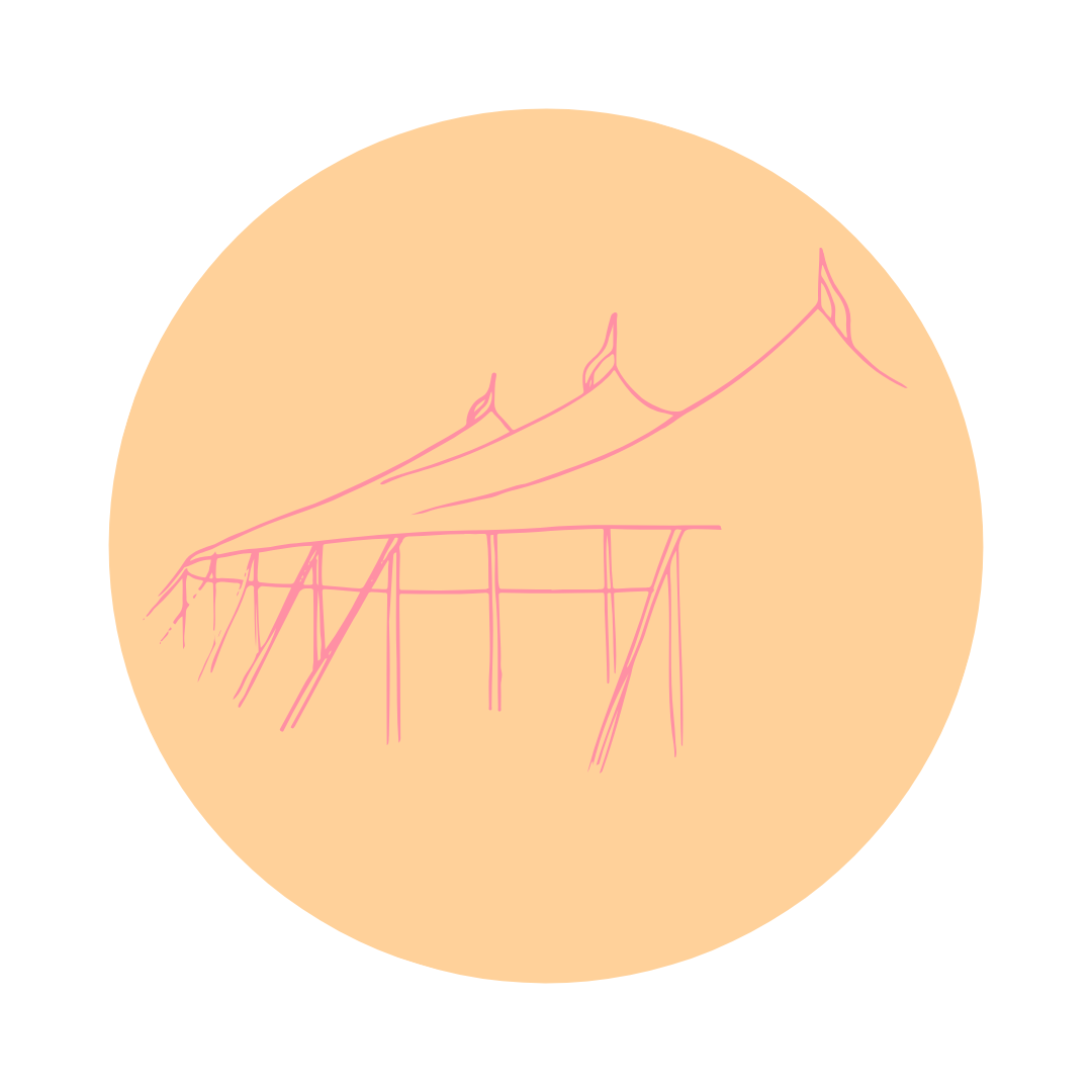 MARQUEES + TENTS